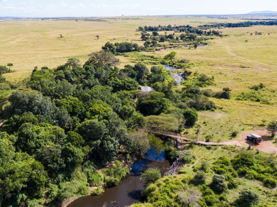 Mara Plains Camp