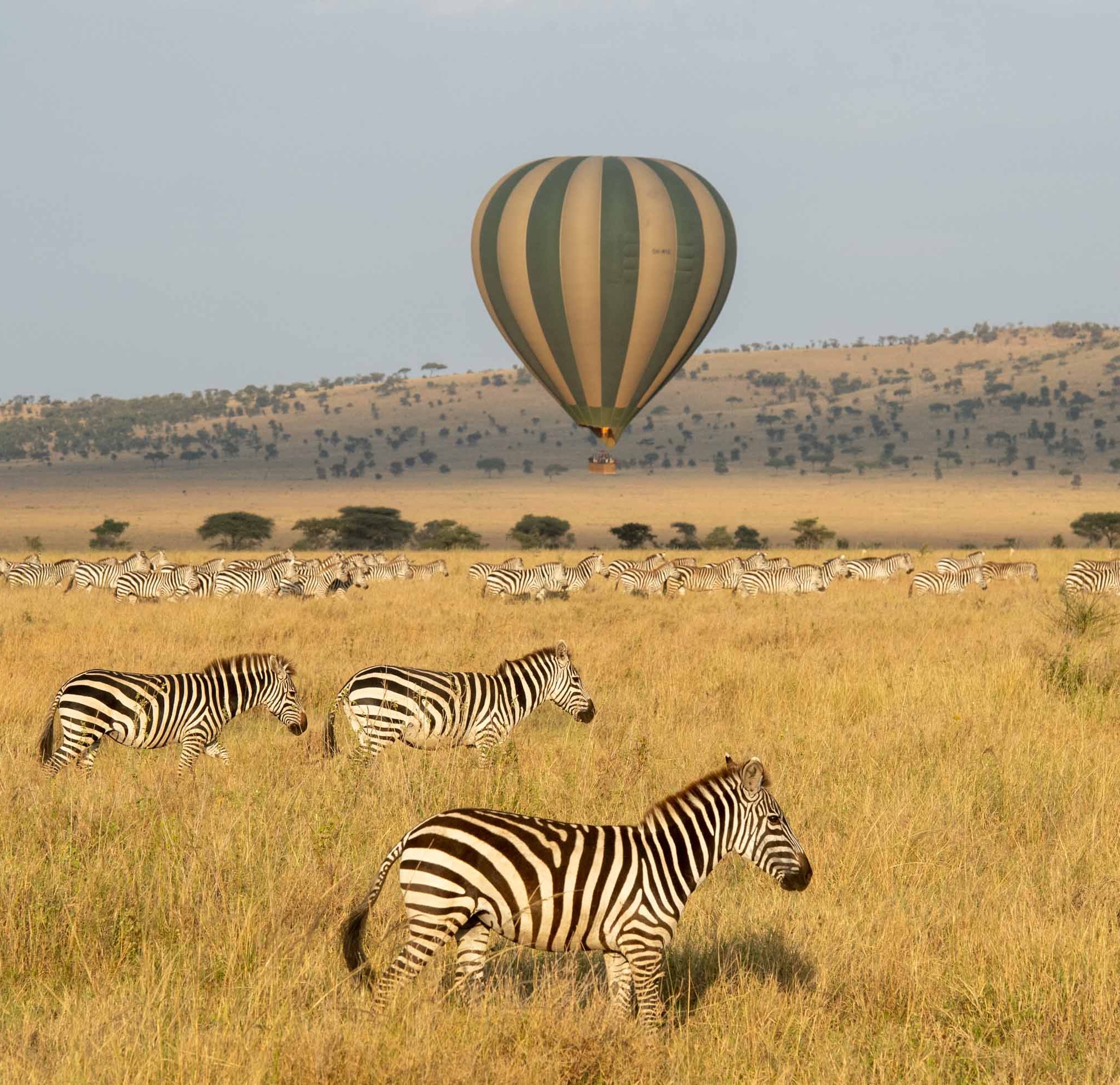 Mila Tented Camp