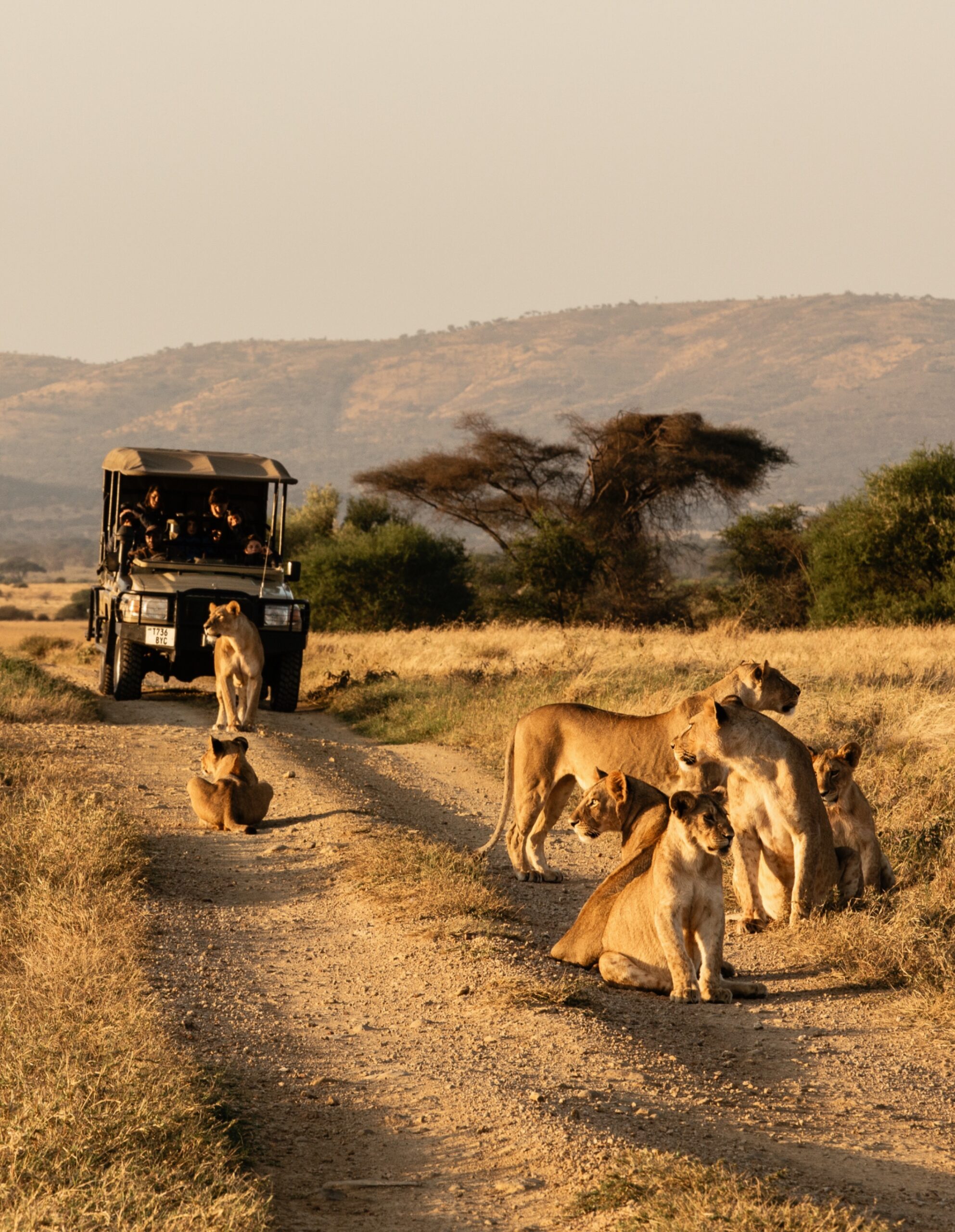 Mila Tented Camp