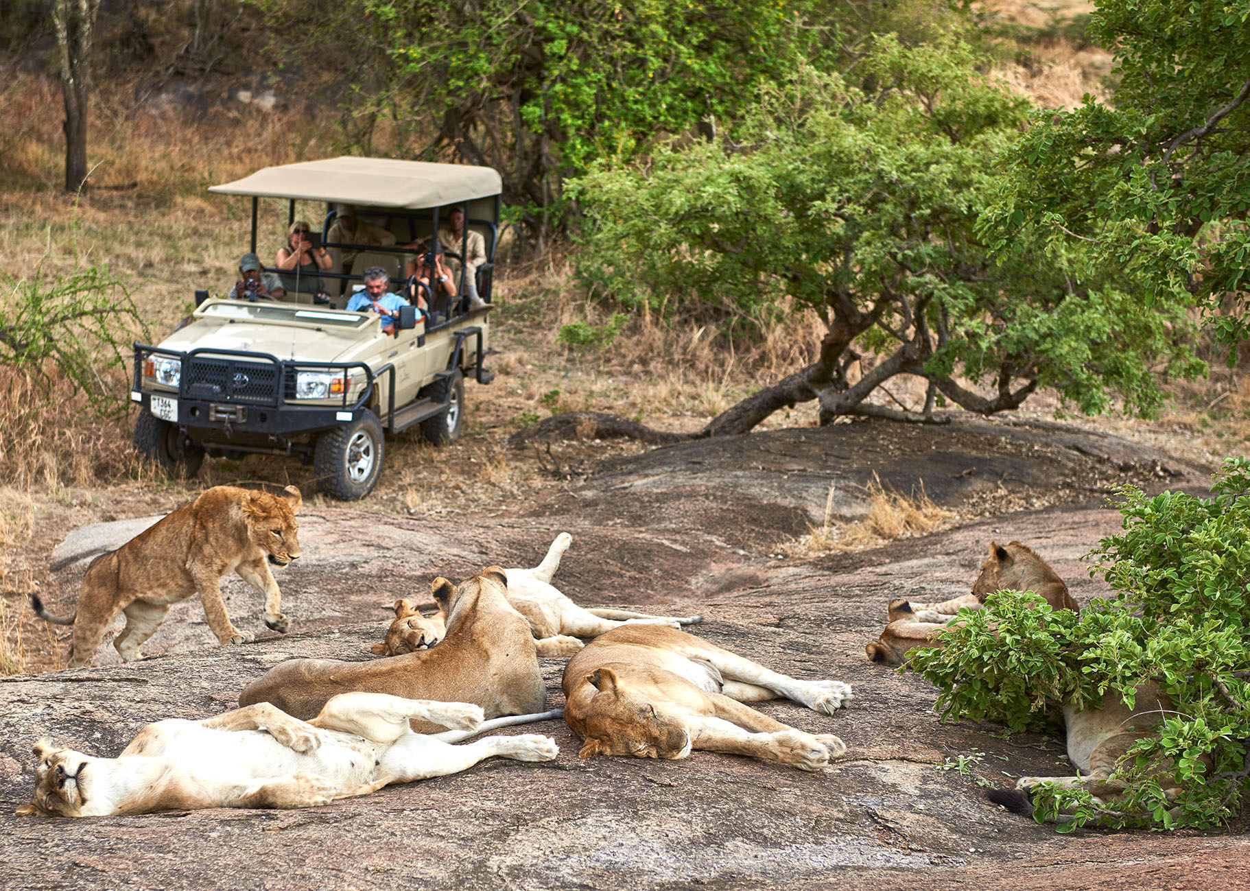 Legendary Mwiba Lodge