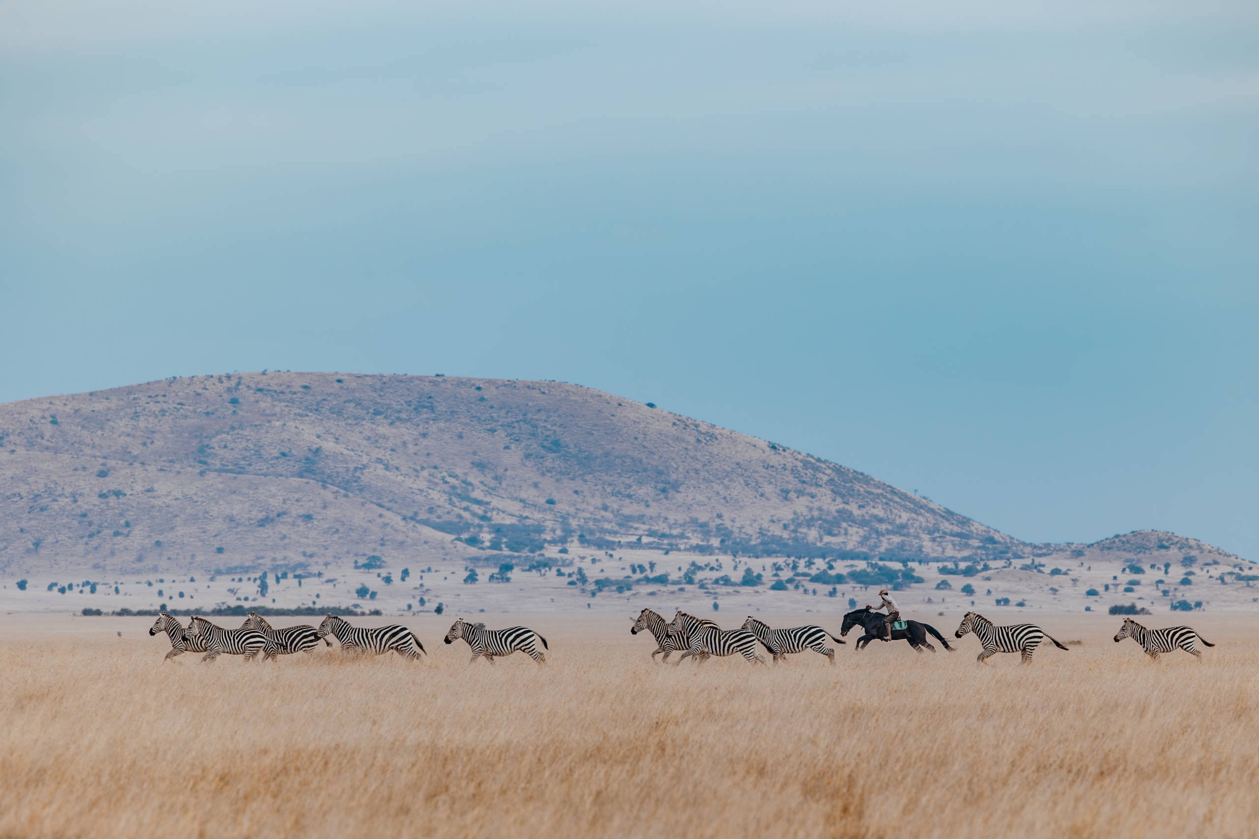 Ol Donyo Lodge