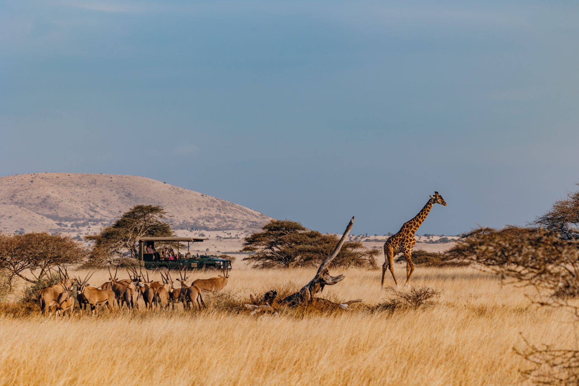 Ol Donyo Lodge