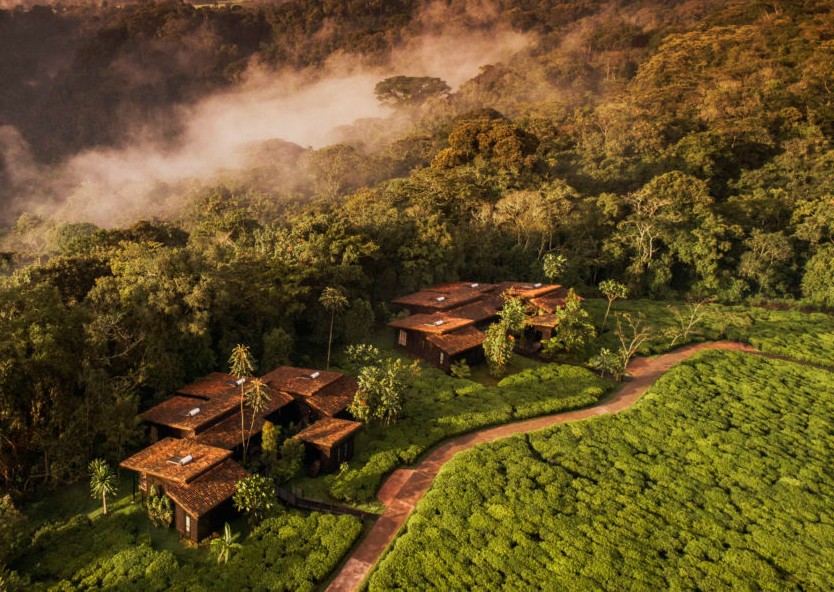 One&Only Nyungwe House