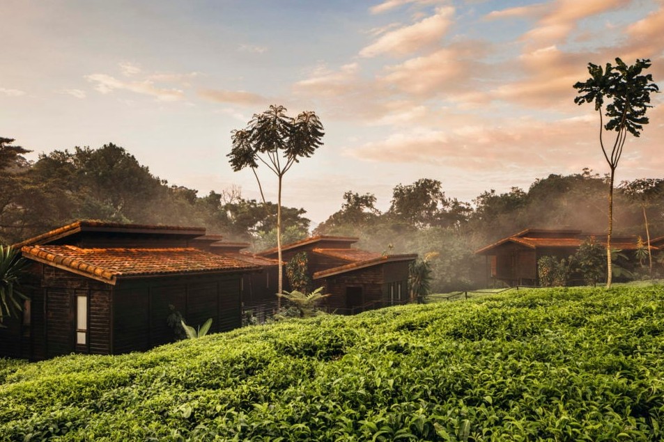 One&Only Nyungwe House