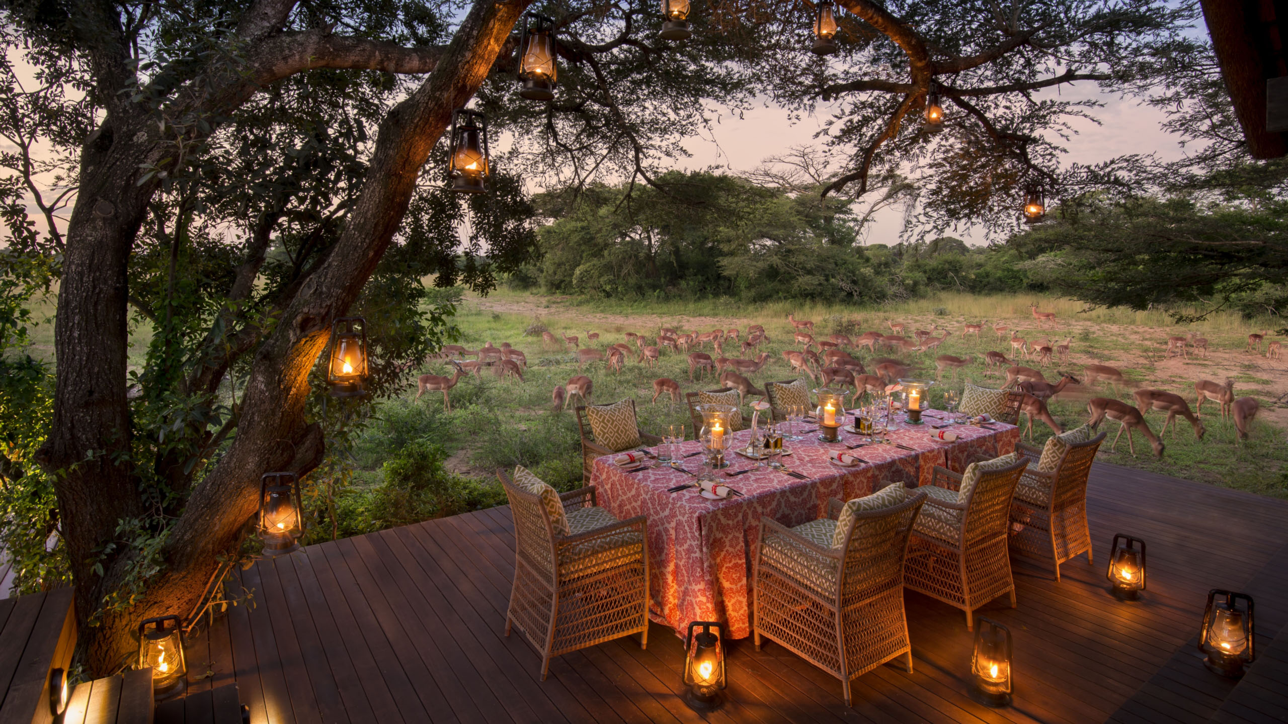 Phinda Vlei Lodge