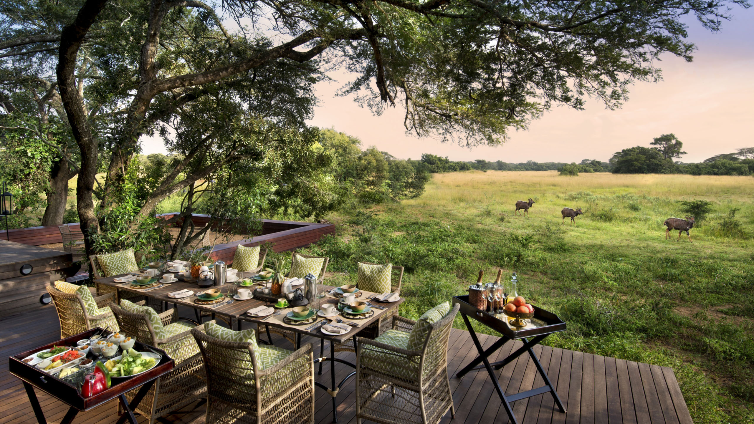 Phinda Vlei Lodge