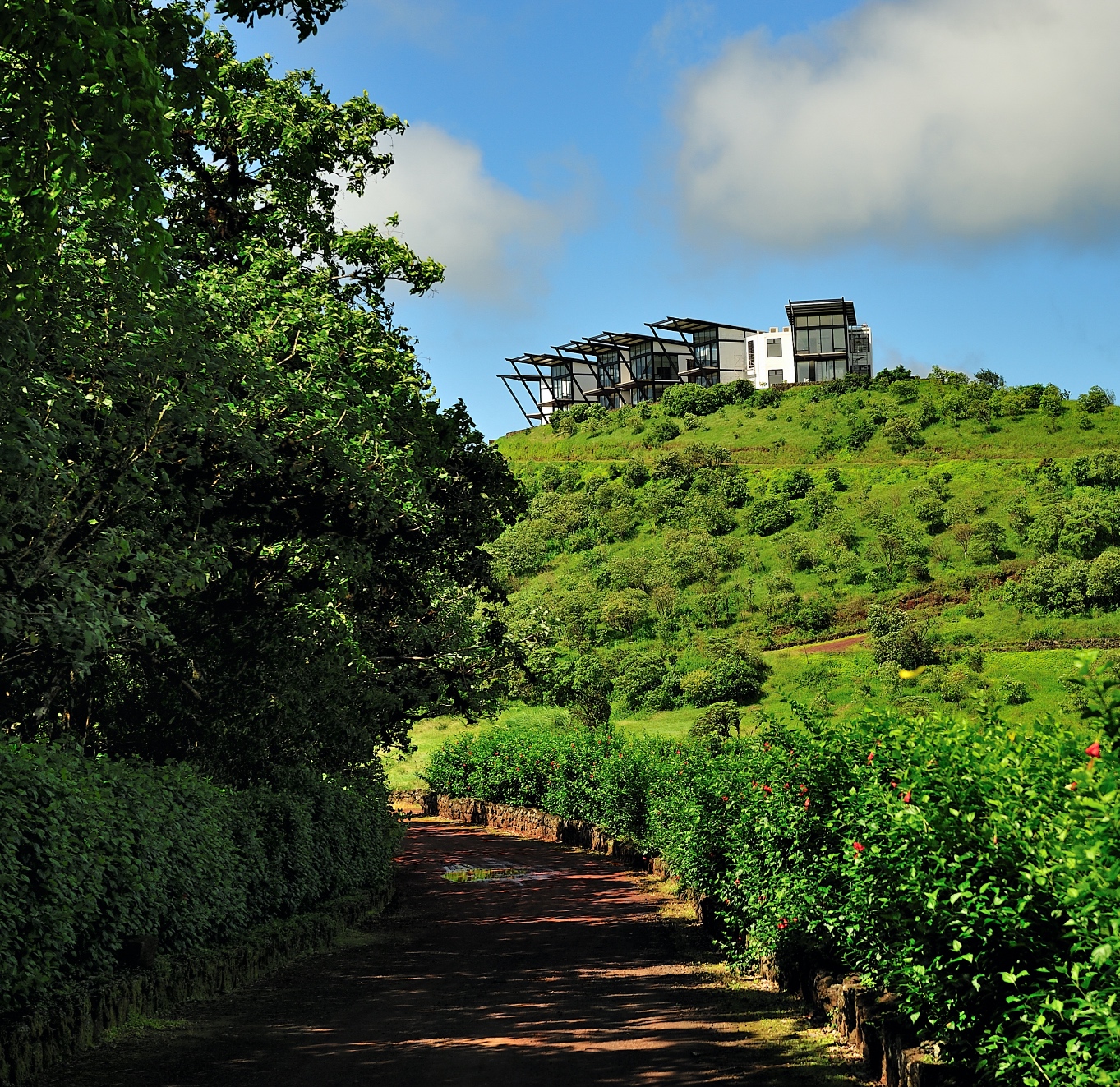 Pikaia Lodge