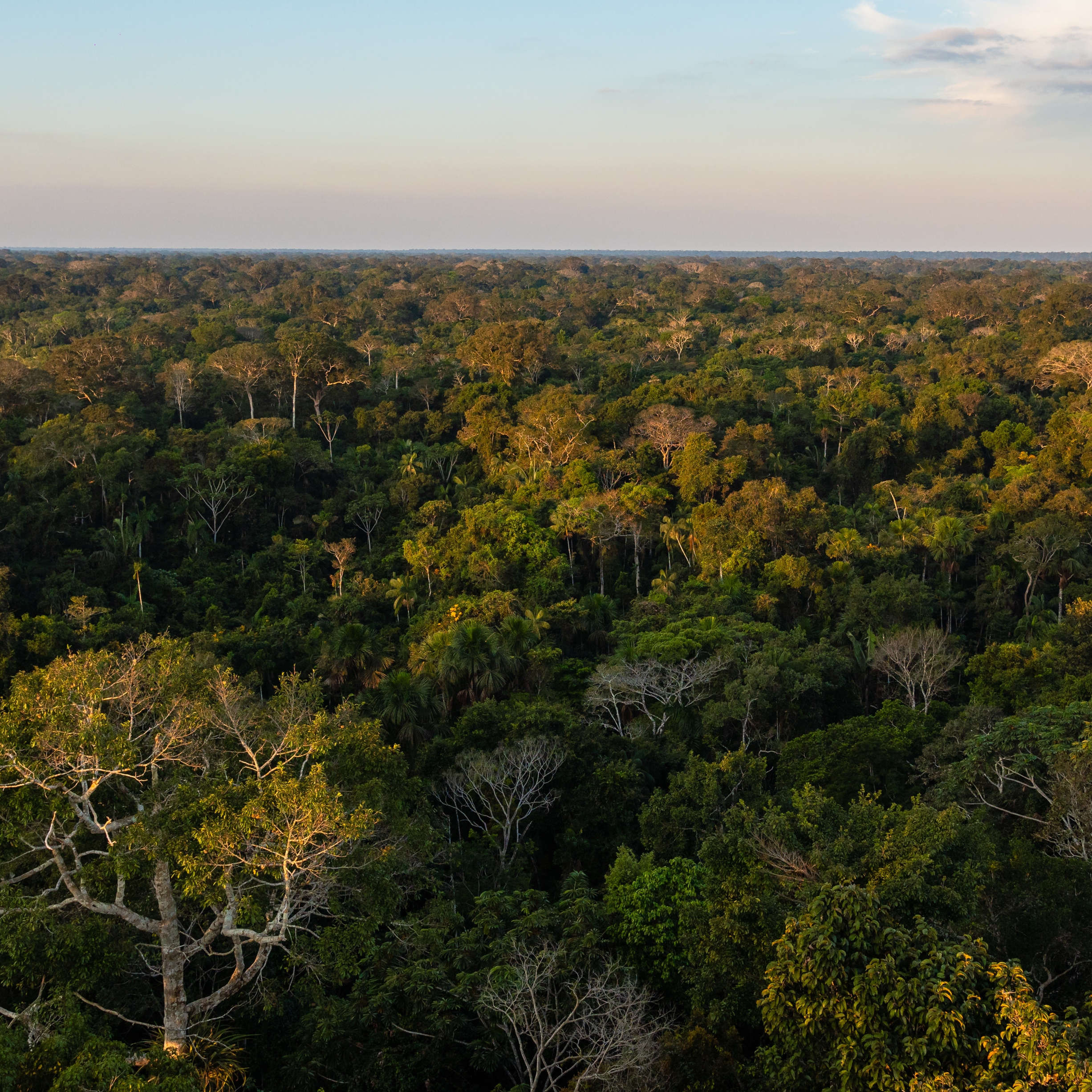 Posada Amazonas