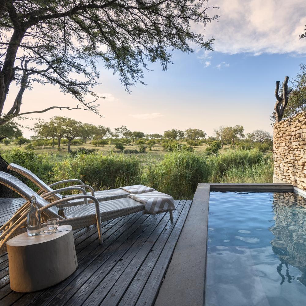 The terrace area of one of Chitwa Chitwa's accommodations featuring sun loungers and a long pool overlooking the bush.
