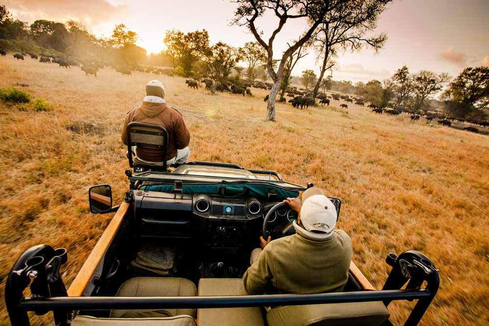 Safari jeep