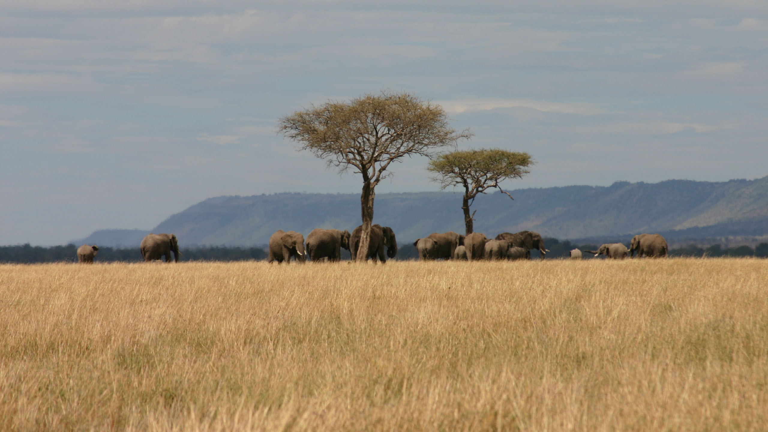 Saruni Mara