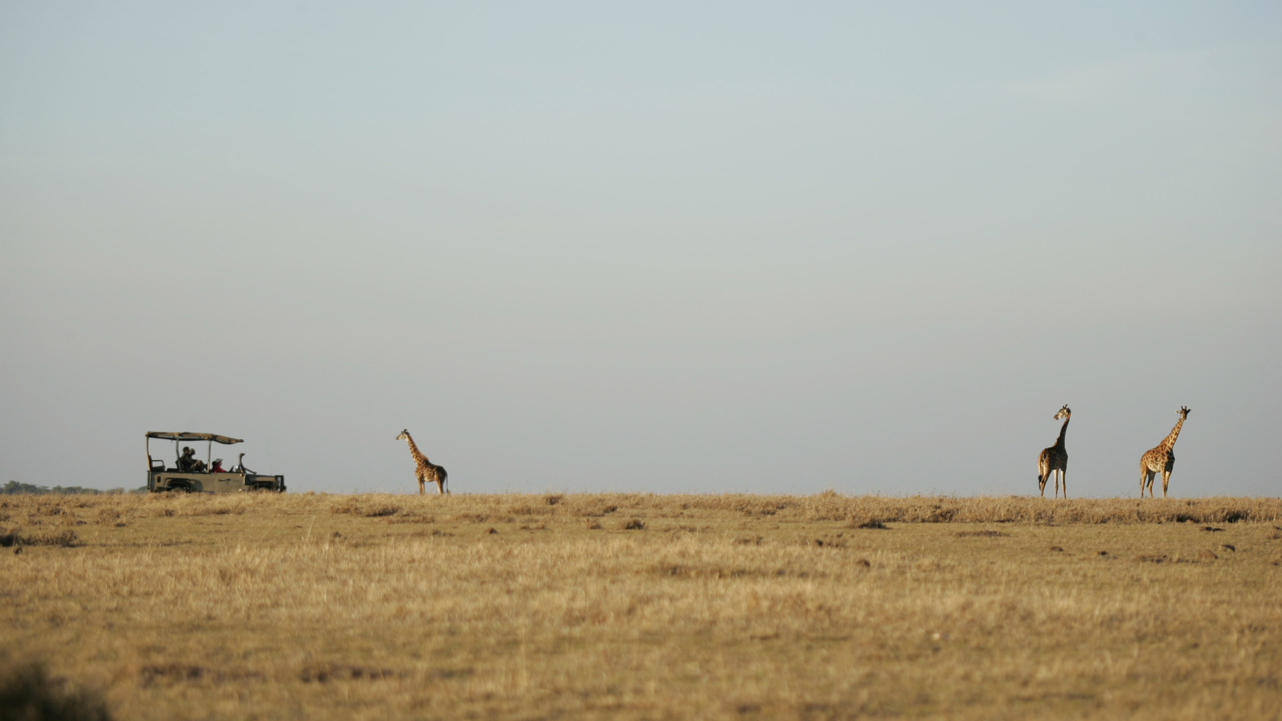 Saruni Mara