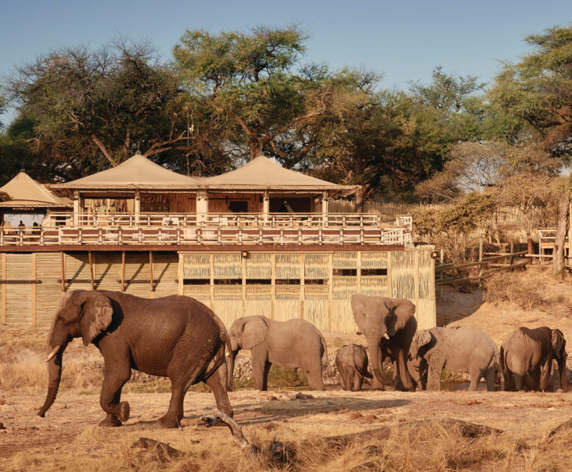 Savute Elephant Lodge