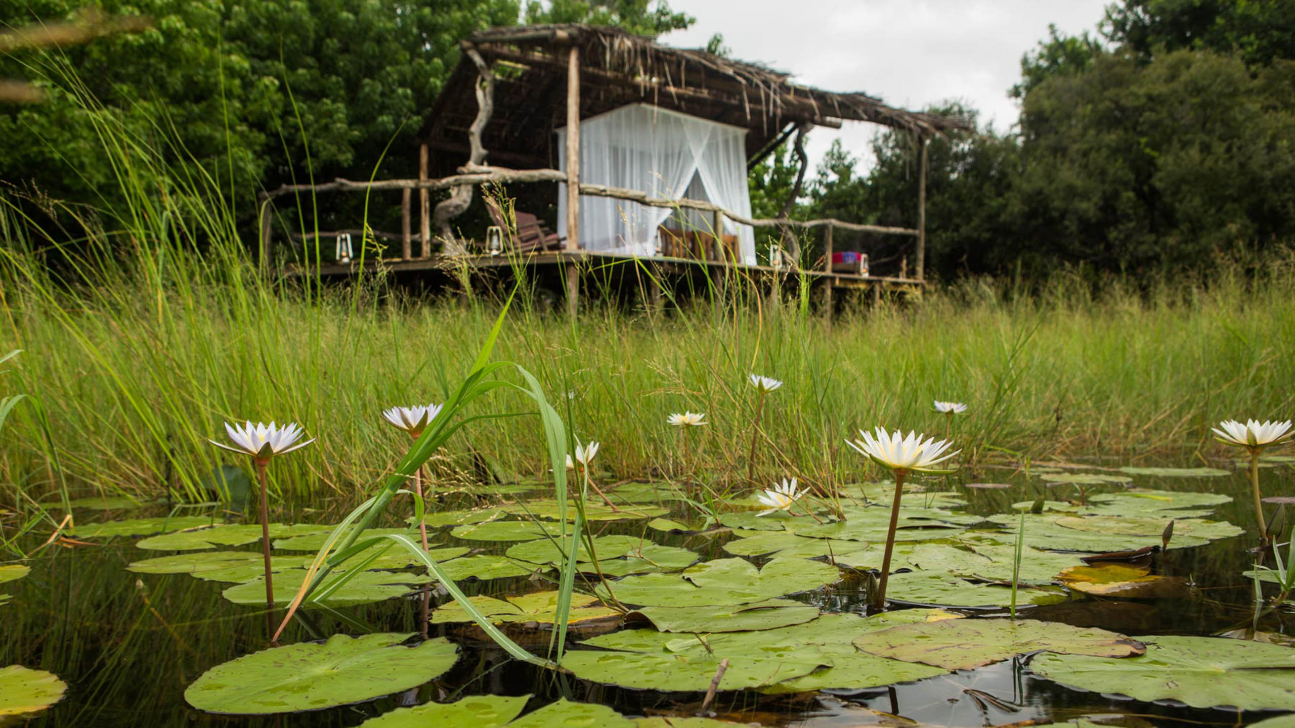 Selinda Camp