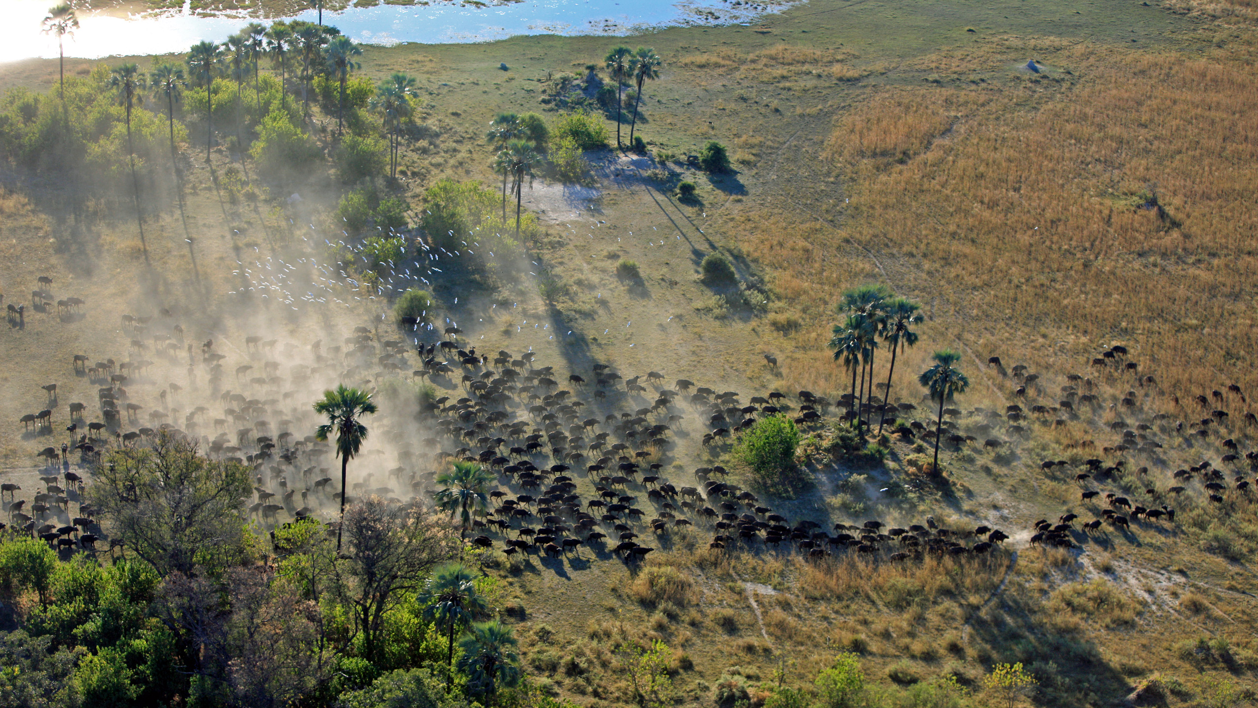 Selinda Camp