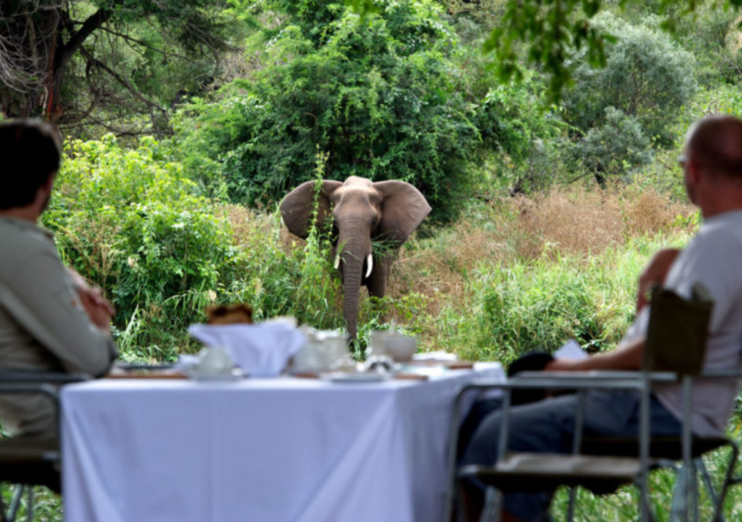 Singita Lebombo