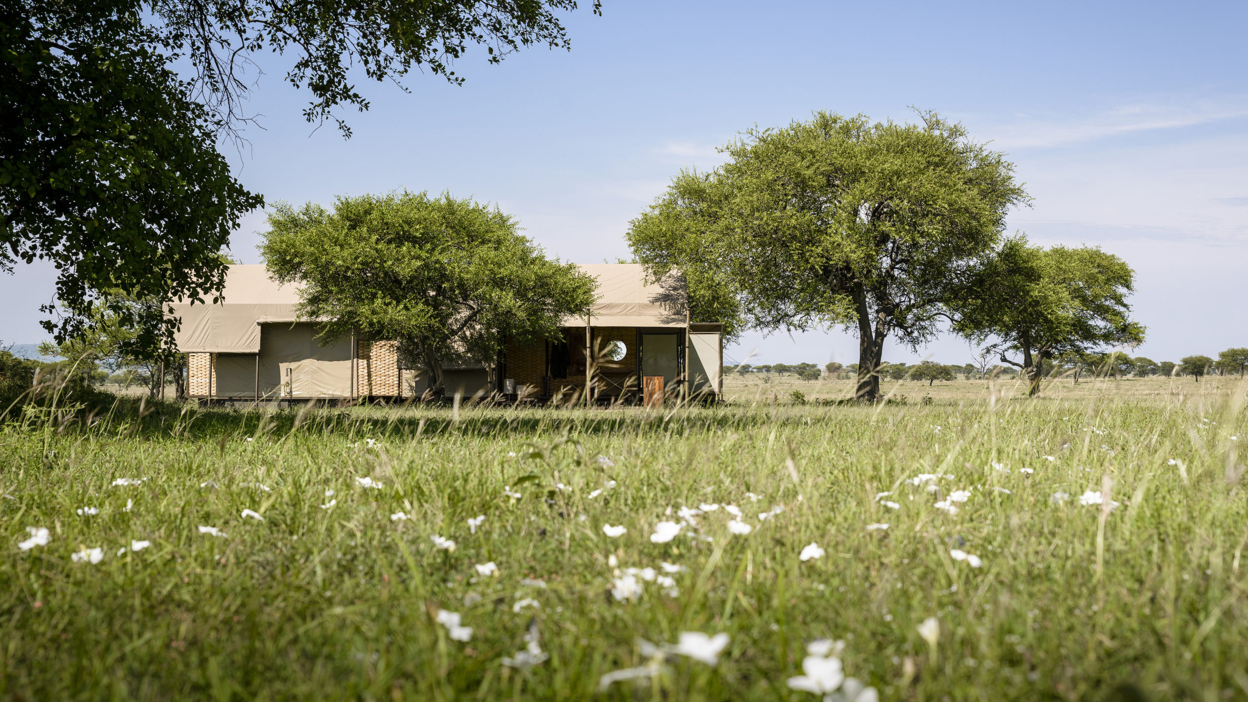 Singita Sabora
