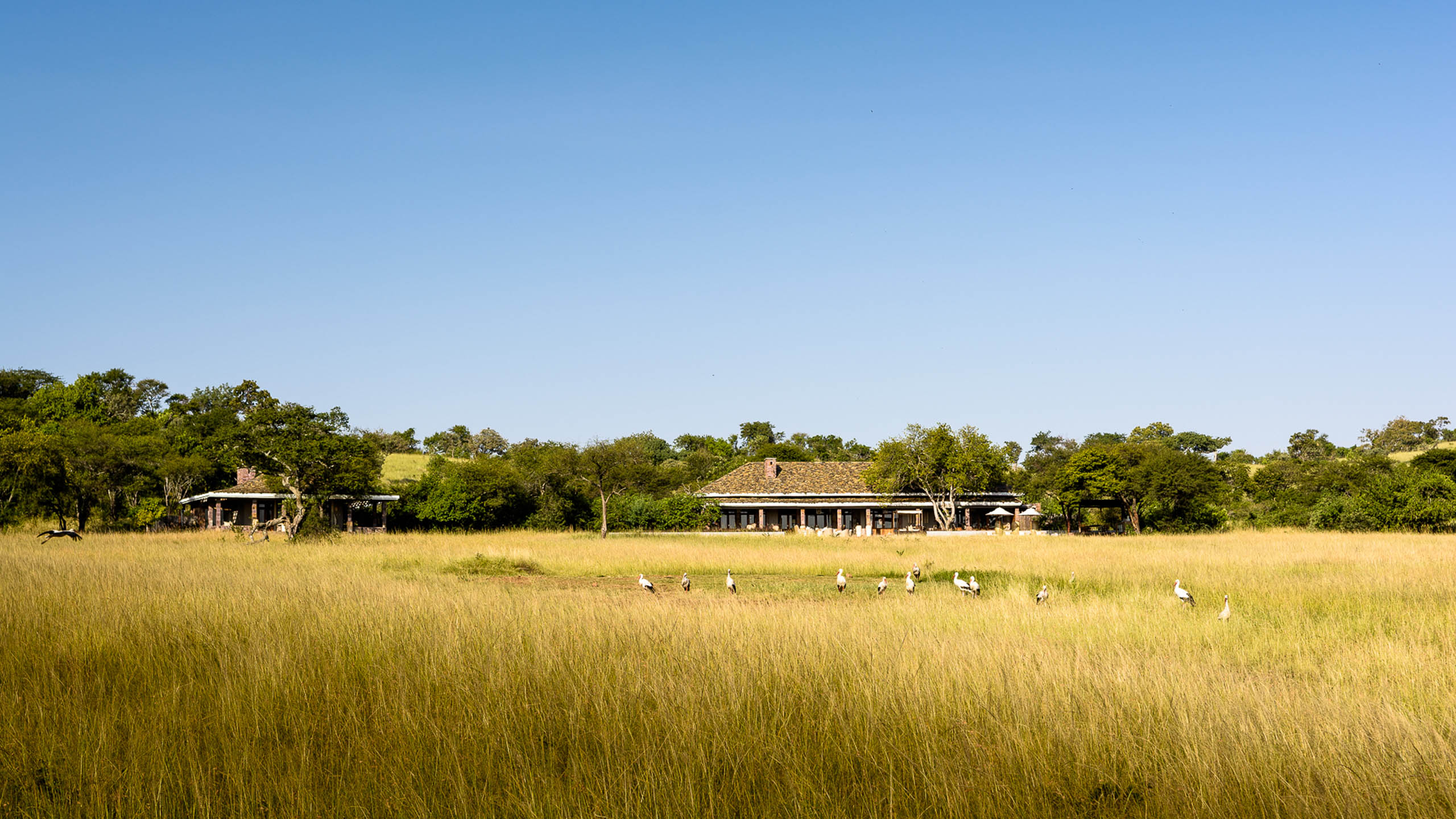 Singita Serengeti House