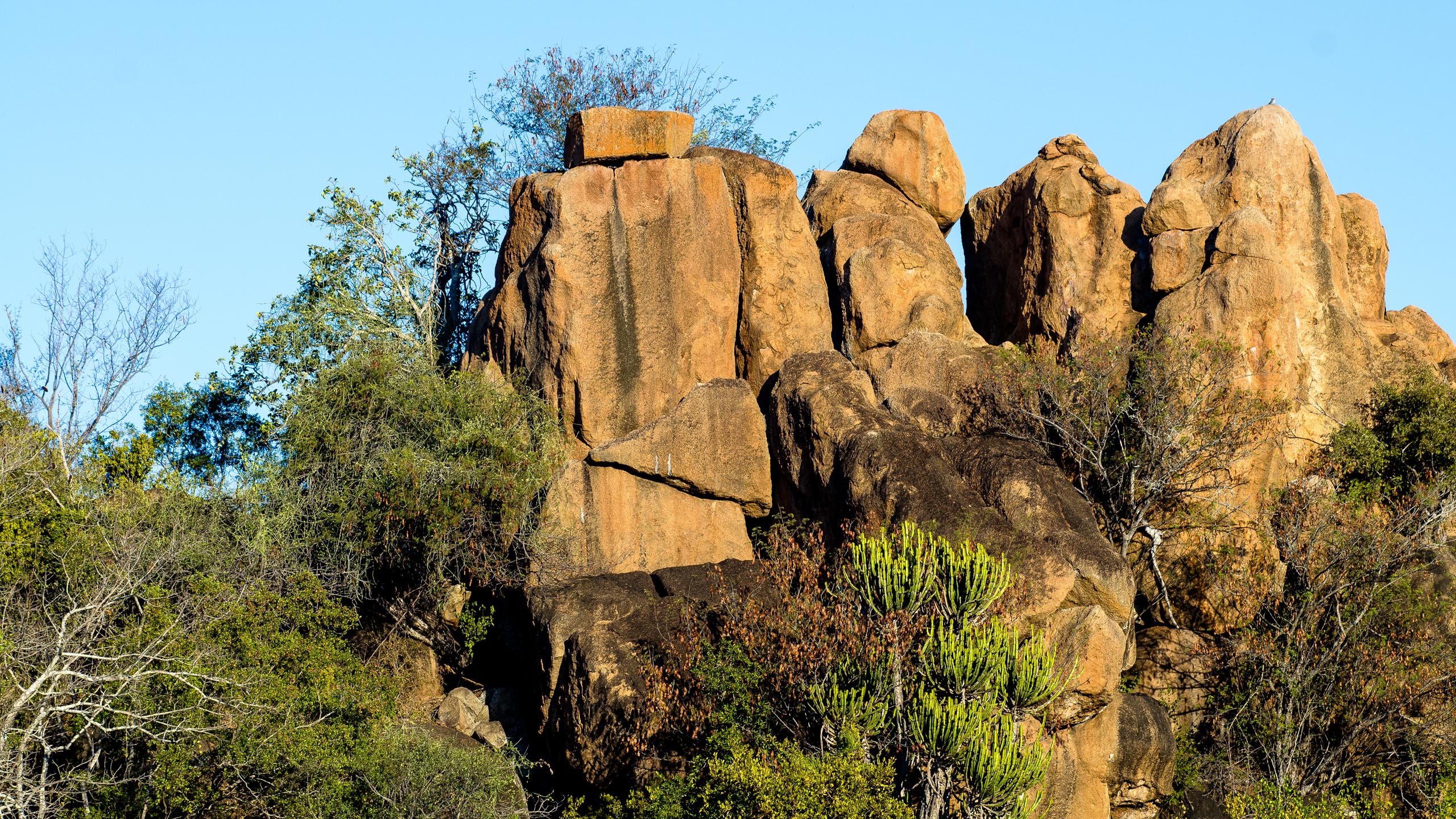 Singita Sweni