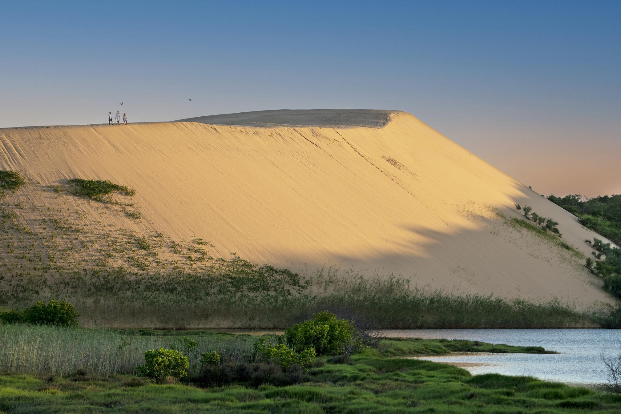 People exploring a giant sand dune.