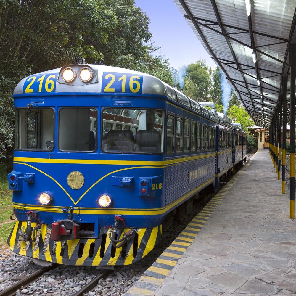 Blue and yellow train at station platform surrounded by trees.