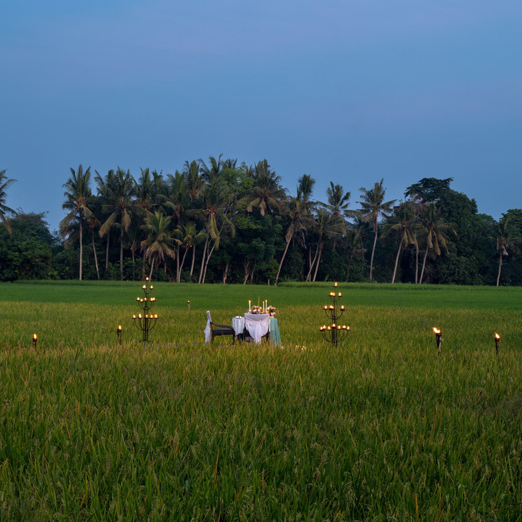 Tanah Gajah