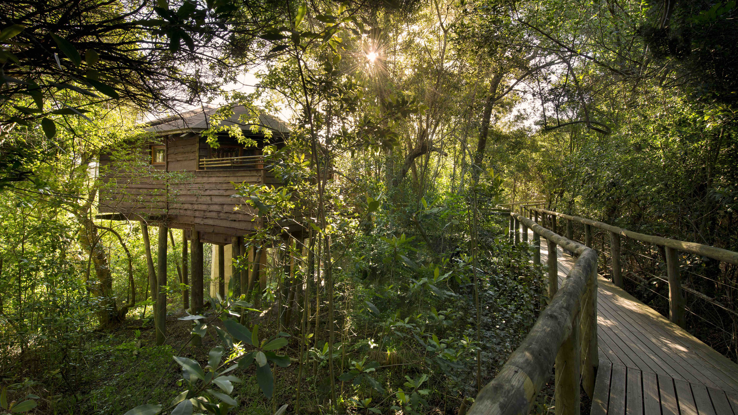 Tsala Treetop Lodge