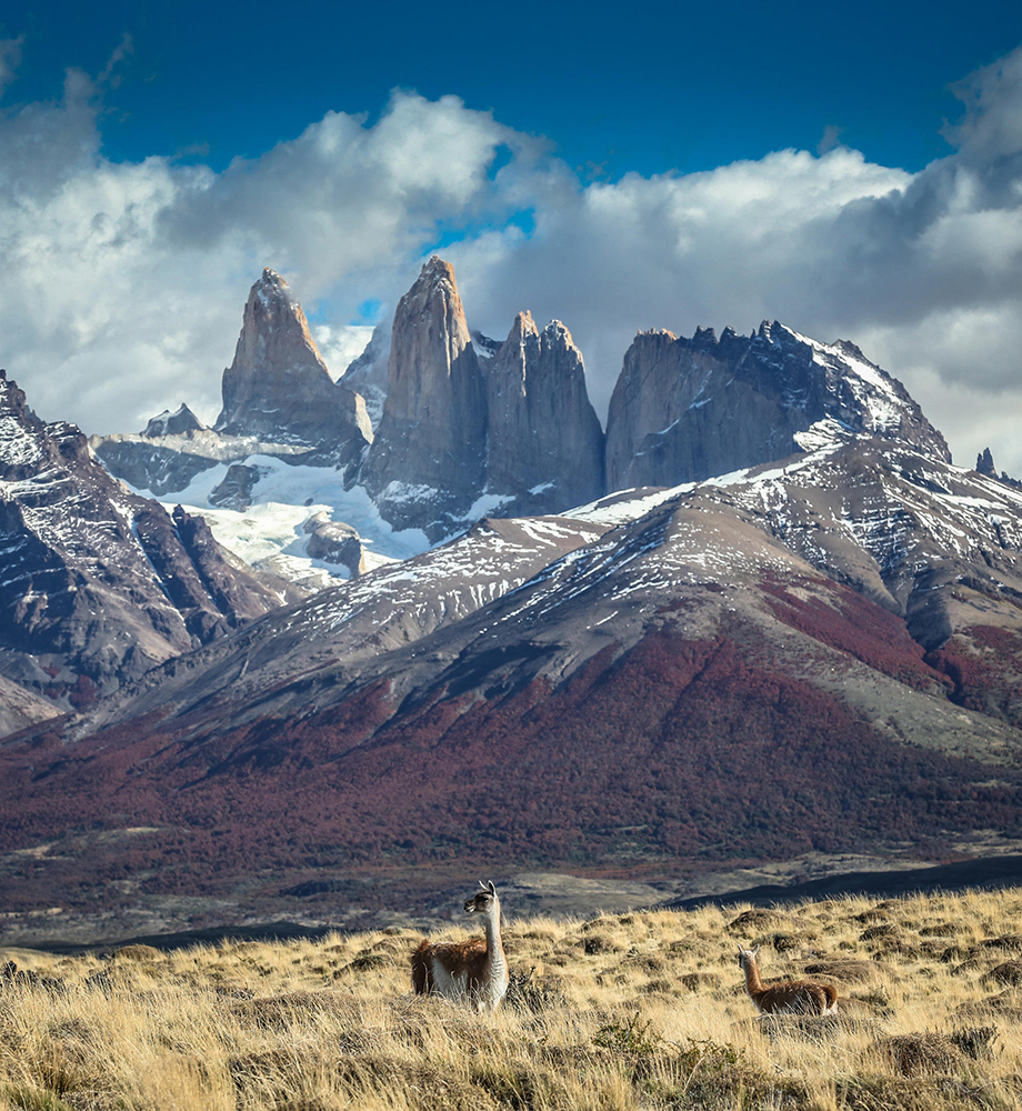 Awasi Patagonia