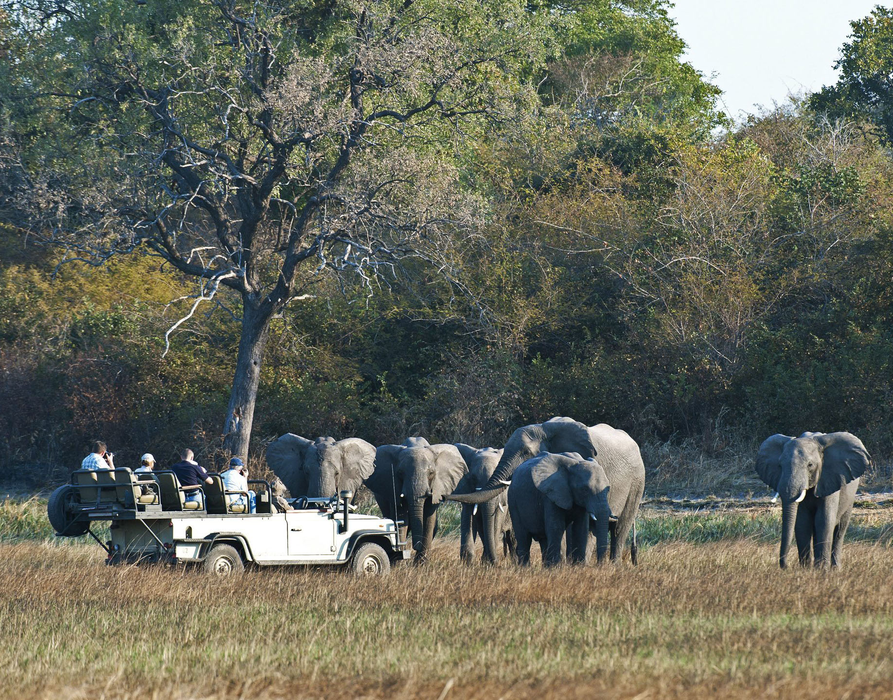 Wilderness Busanga Bush Camp