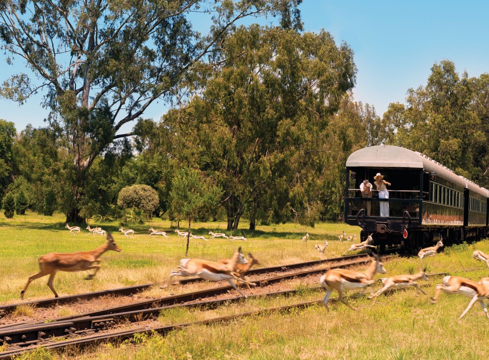 Rovos Rail