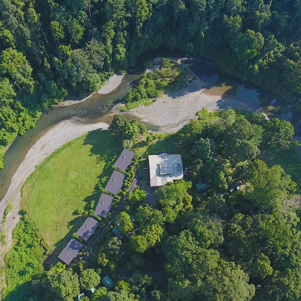 Aerial view of a lodge by a meandering river amidst dense jungle foliage.