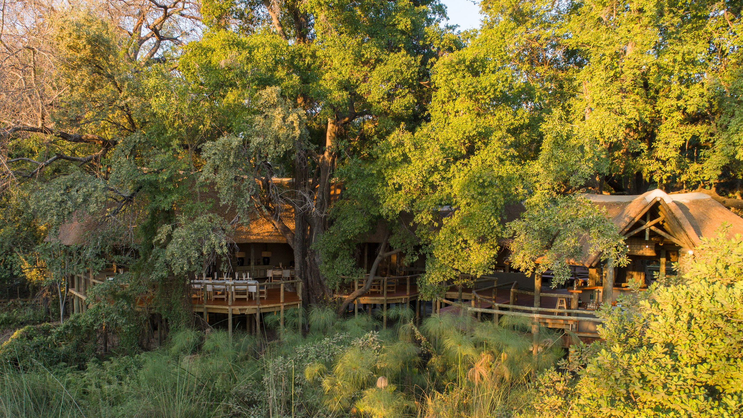 Camp Moremi