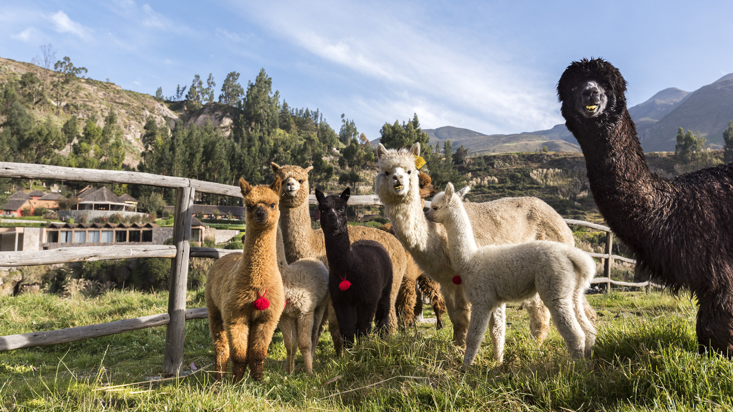 Colca Lodge
