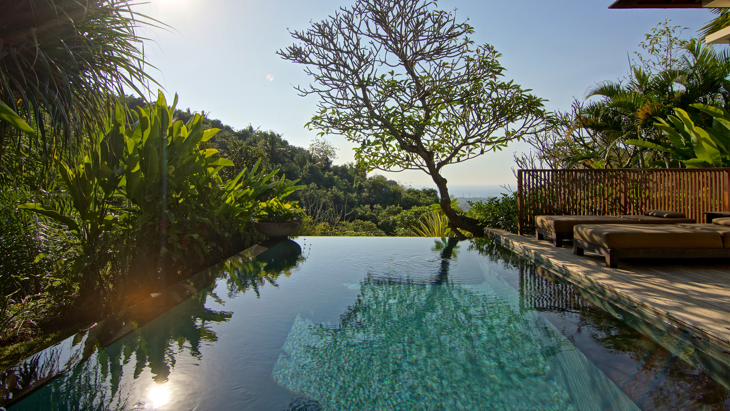 damai-lovina-pool