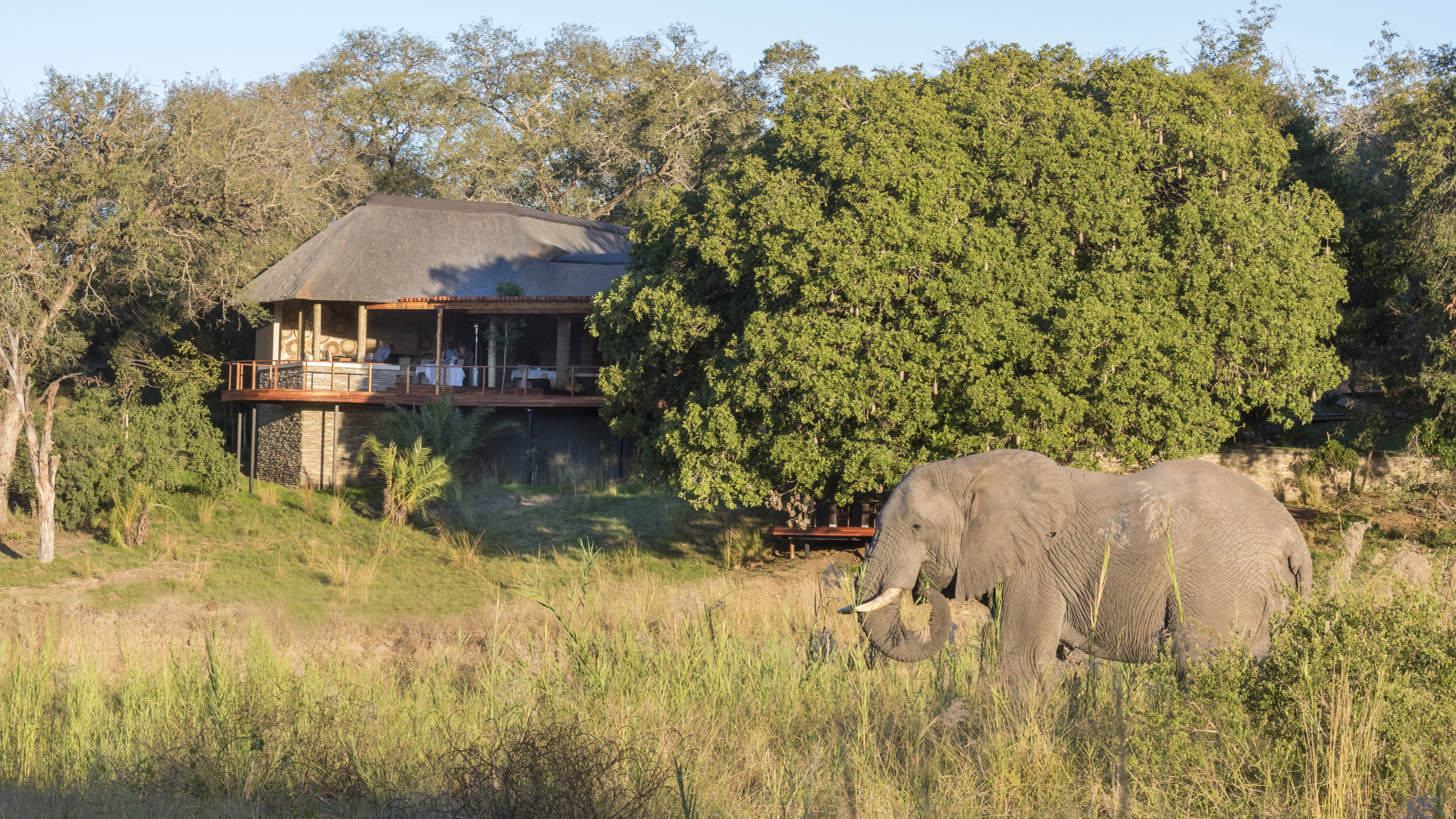 Dulini River Lodge