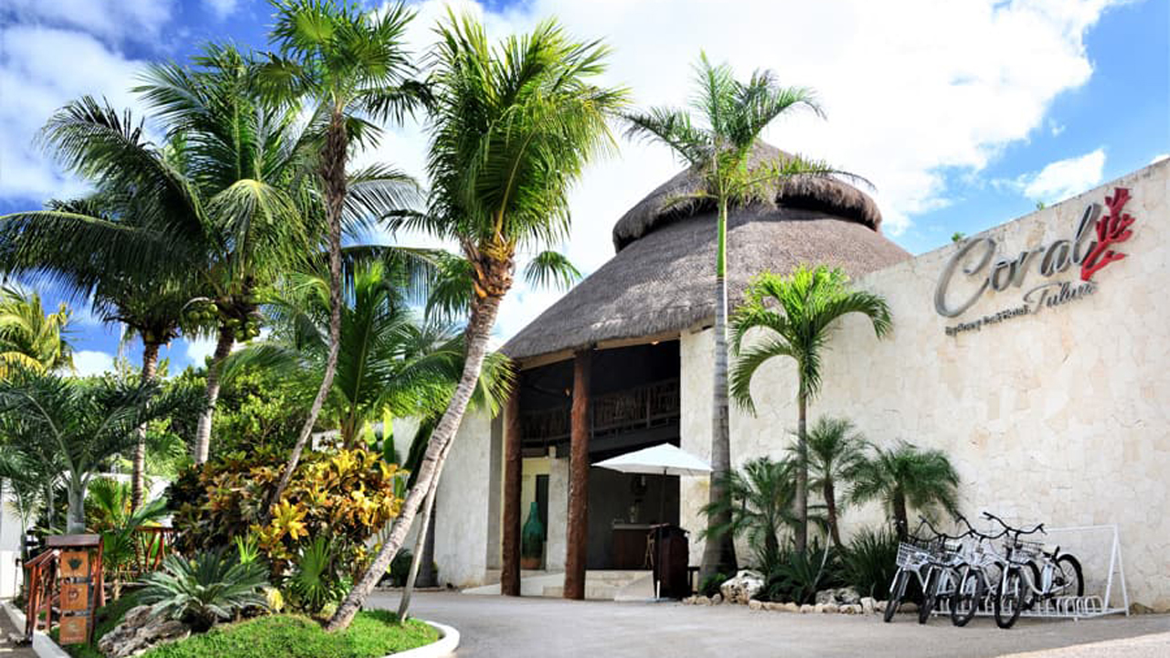 Coral Tulum