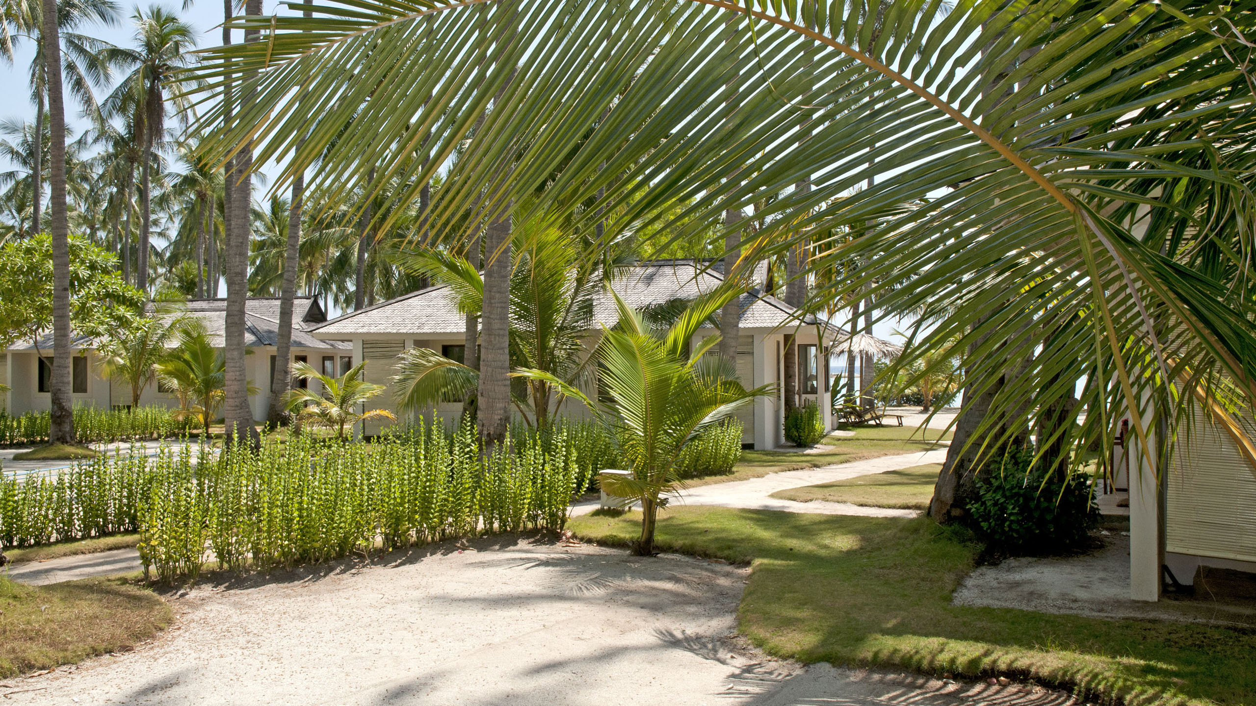 kura-kura-walkway