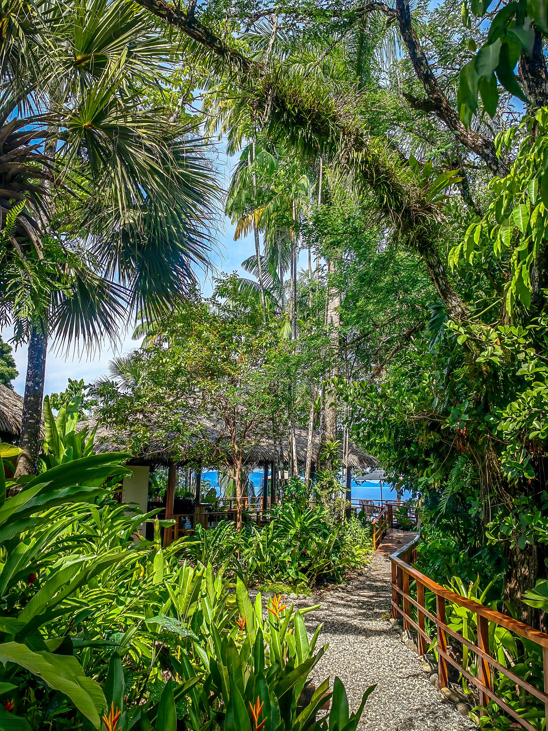 Lapa Rios