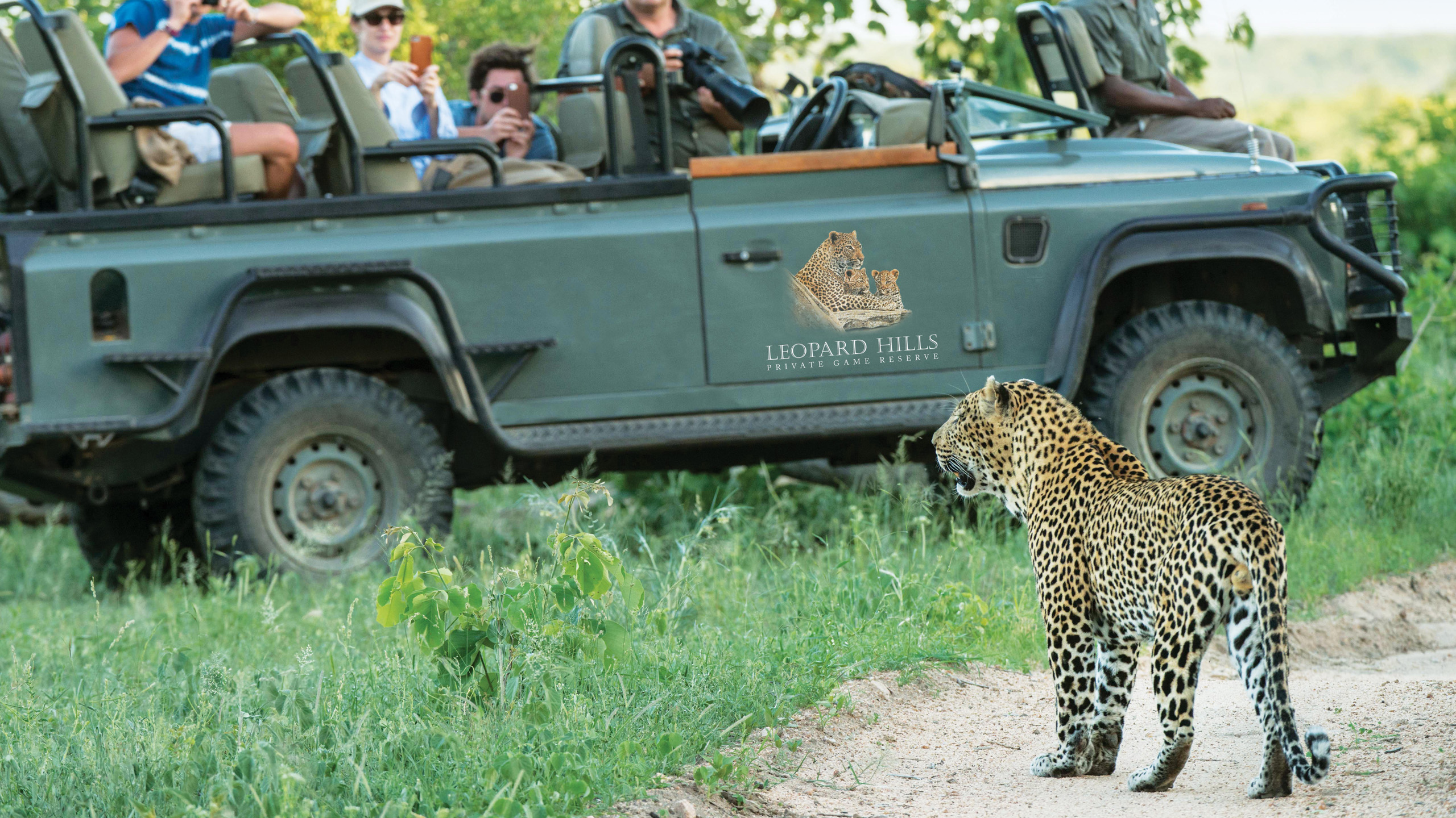 Leopard Hills