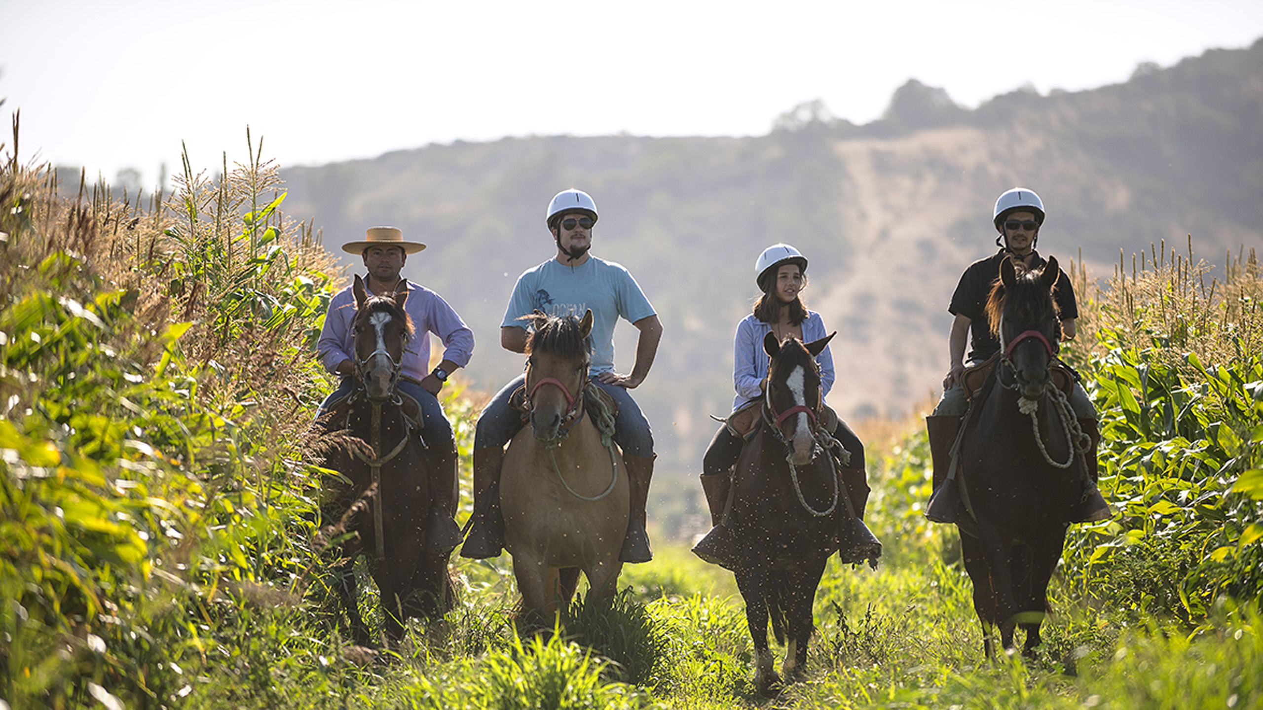 matetic-horse-riding