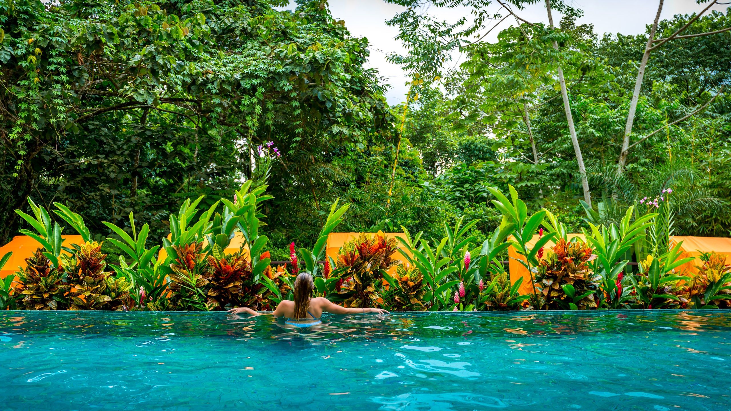 Nayara Springs