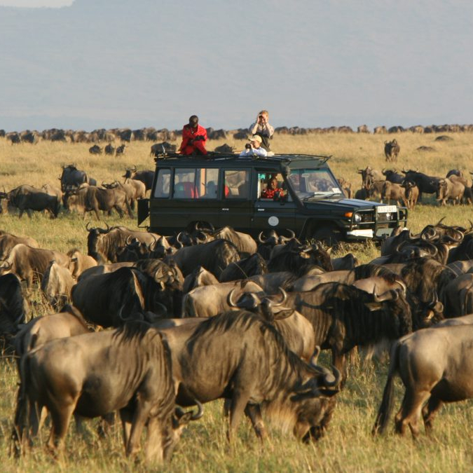 Rekero Camp