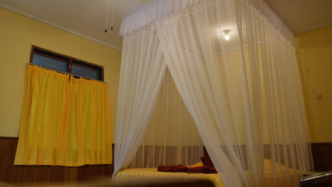 Rimba Lodge