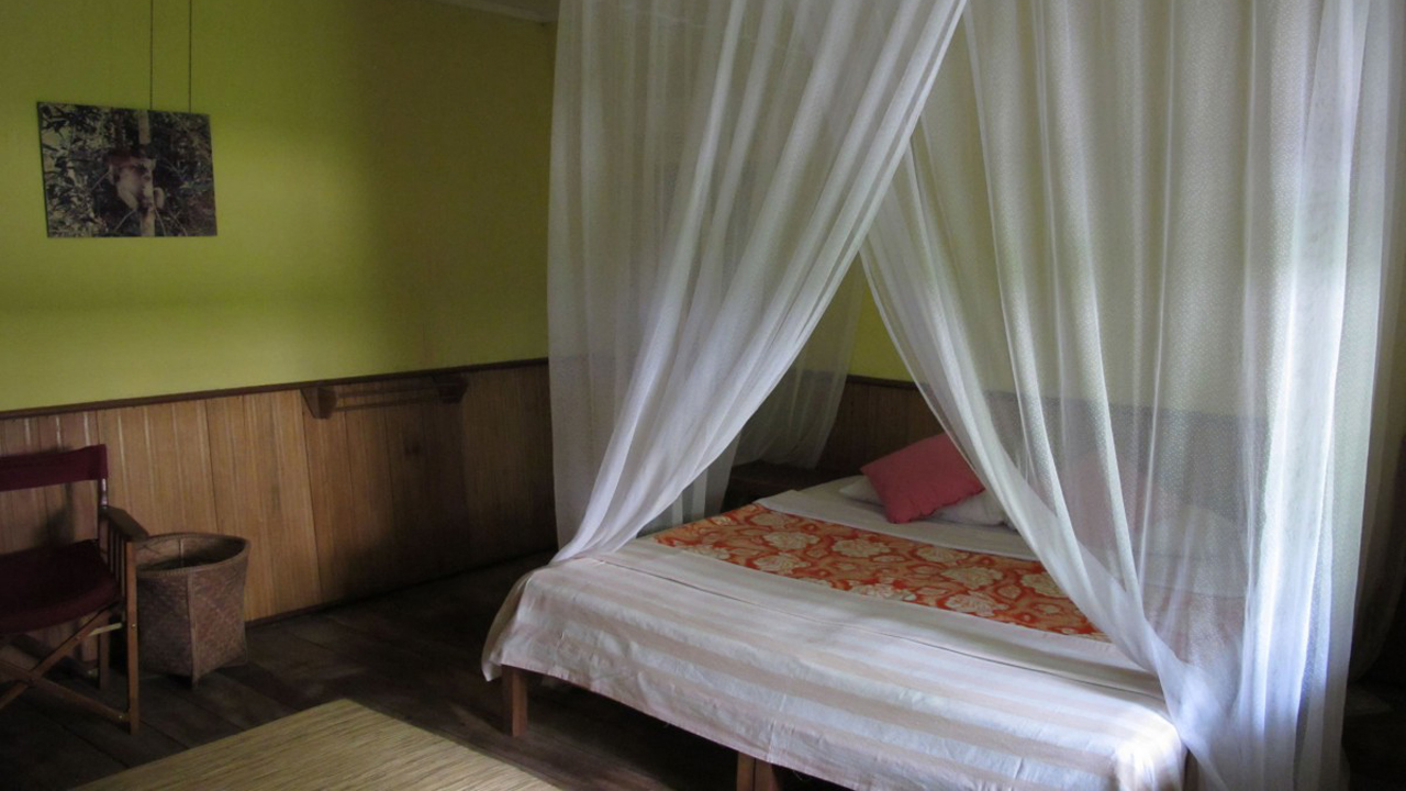 Rimba Lodge