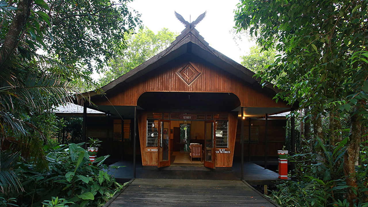 Rimba Lodge