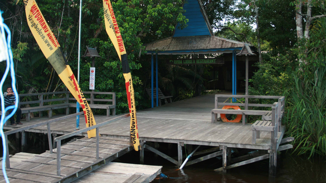 Rimba Lodge