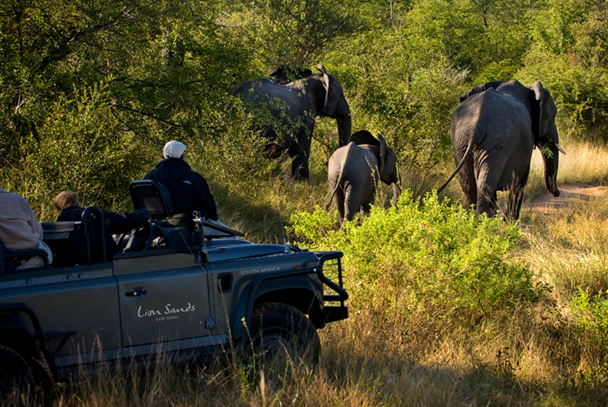 Lion Sands Reserve