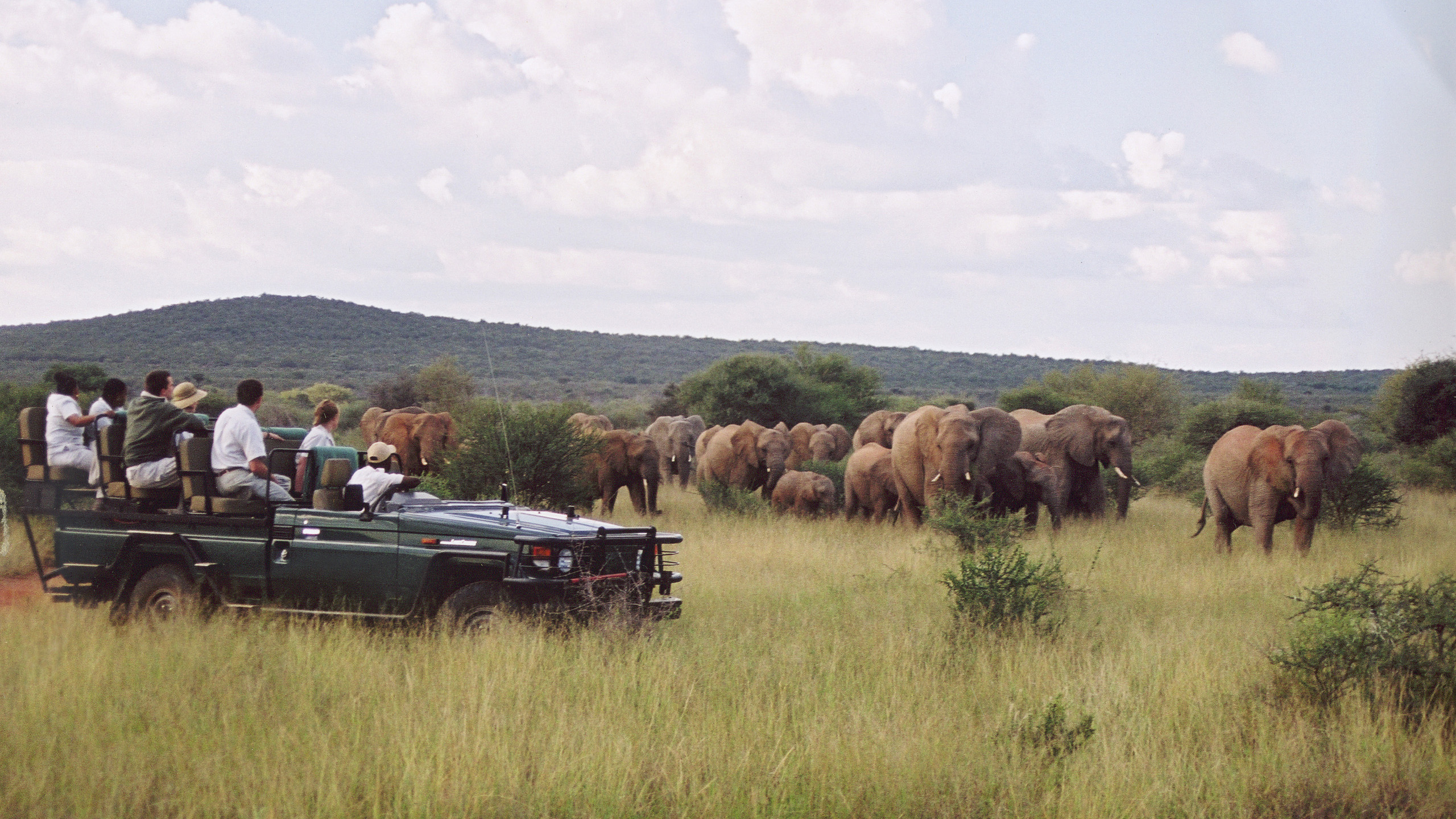 Sanctuary Makanyane Safari Lodge