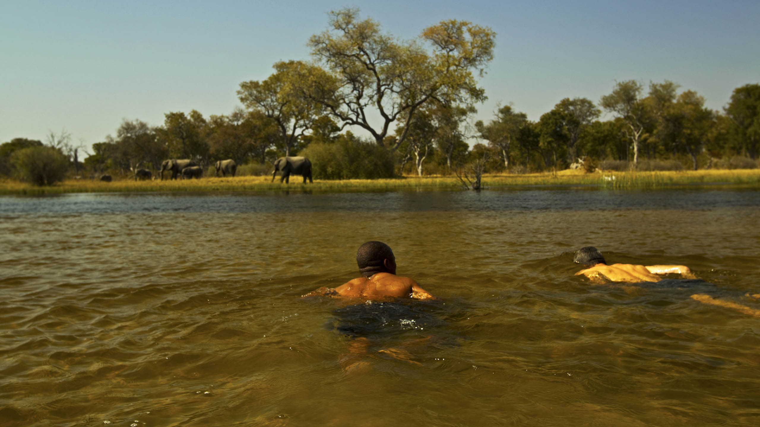 Selinda Explorers Camp