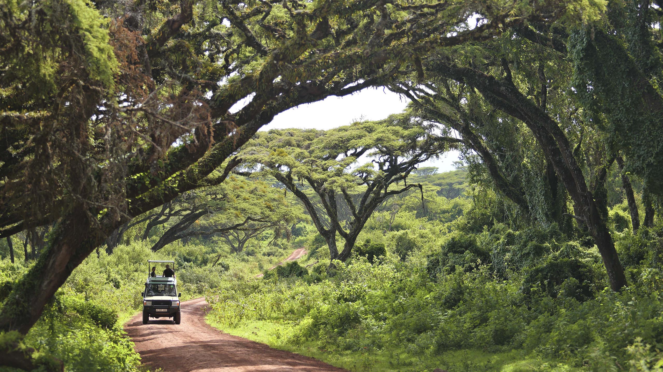 The Highlands Ngorongoro